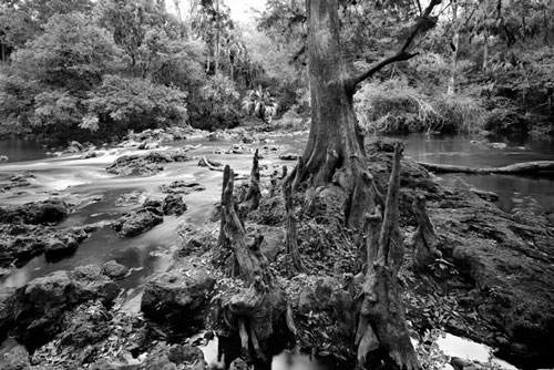 Hillsborough River Rapids