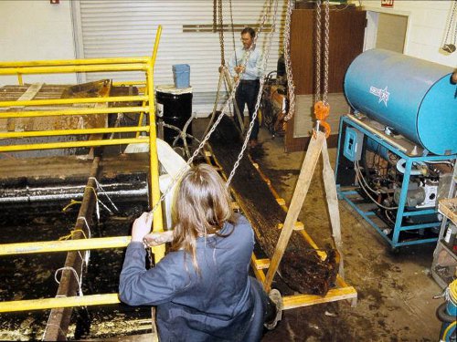 Conservation process canoes