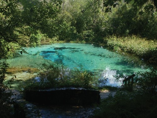 Ichetucknee Springs